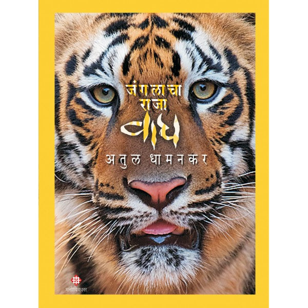 Junglaacha Raja Wagh by Atul Dhamankar